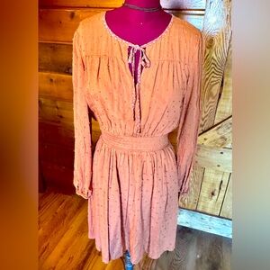 HEM & THREADS NWT Elegant Rust Color Swiss Dot  Long-Sleeve Dress